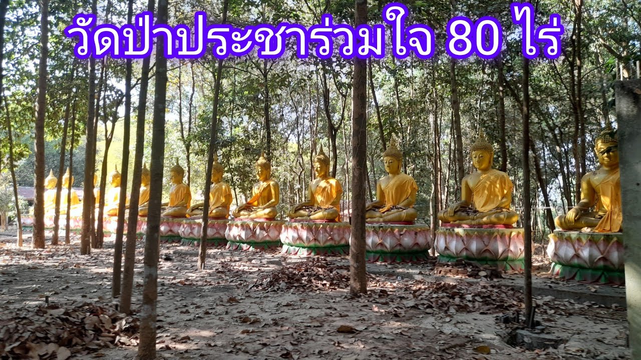 *.วัดป่าประชาร่วมใจ 80 ไร่ อ.สตึก จ.บุรีรัมย์ สถานที่ ศักดิ์สิทธิ์.