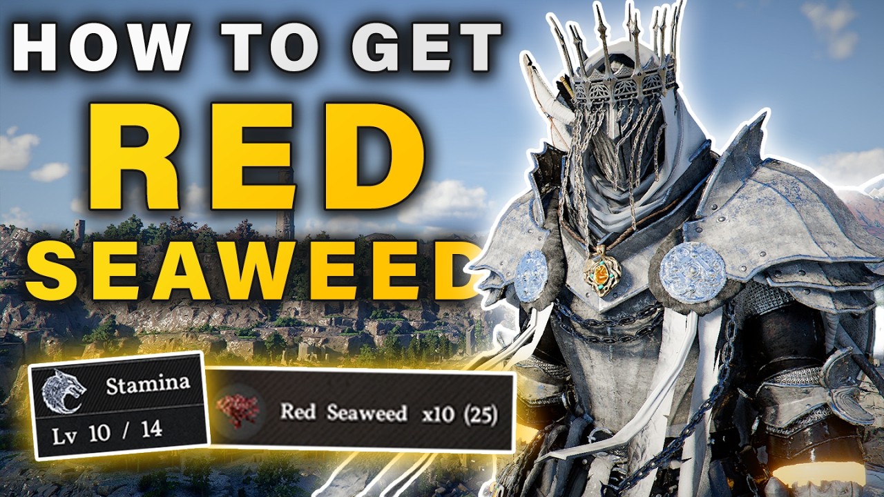 How to get Red Seaweed | Unlock Max STAMINA Skill► Crimson Desert