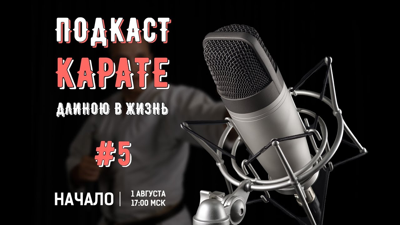 Подкаст №5 с Федоровичем о боевых искусствах и чудиках