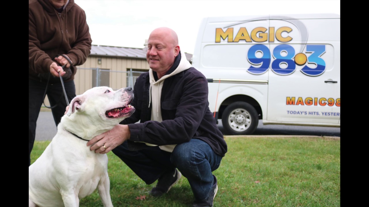 Magic 98 3's Kennel Club: Adopt Blanco Today!