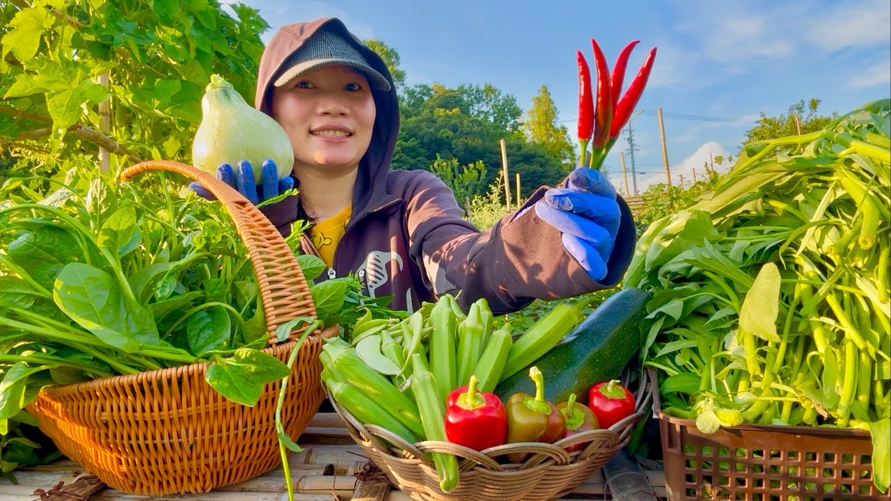 Thu hoạch đậu bắp, đậu ván, bí ngòi,cà tím, ớt chỉ thiên, ớt chuông, rau muống,...||Cuộc sống ở Nhật