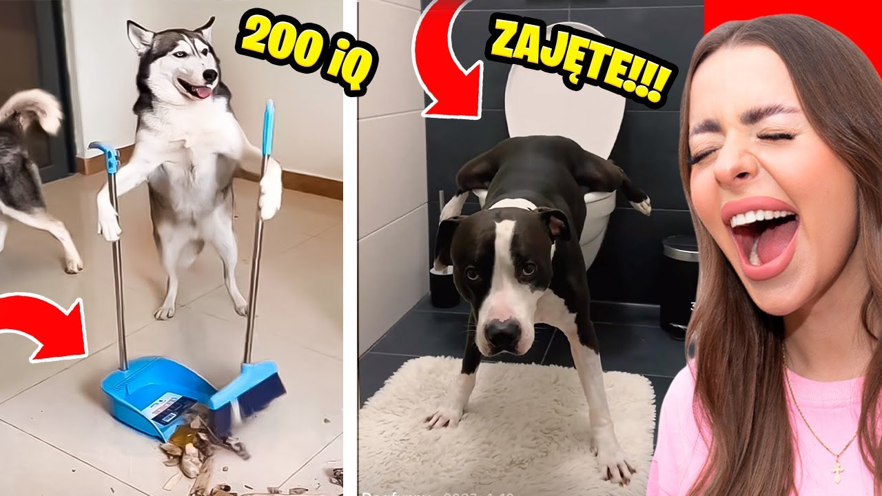 UTALENTOWANE ZWIERZĘTA NA TIKTOKU!