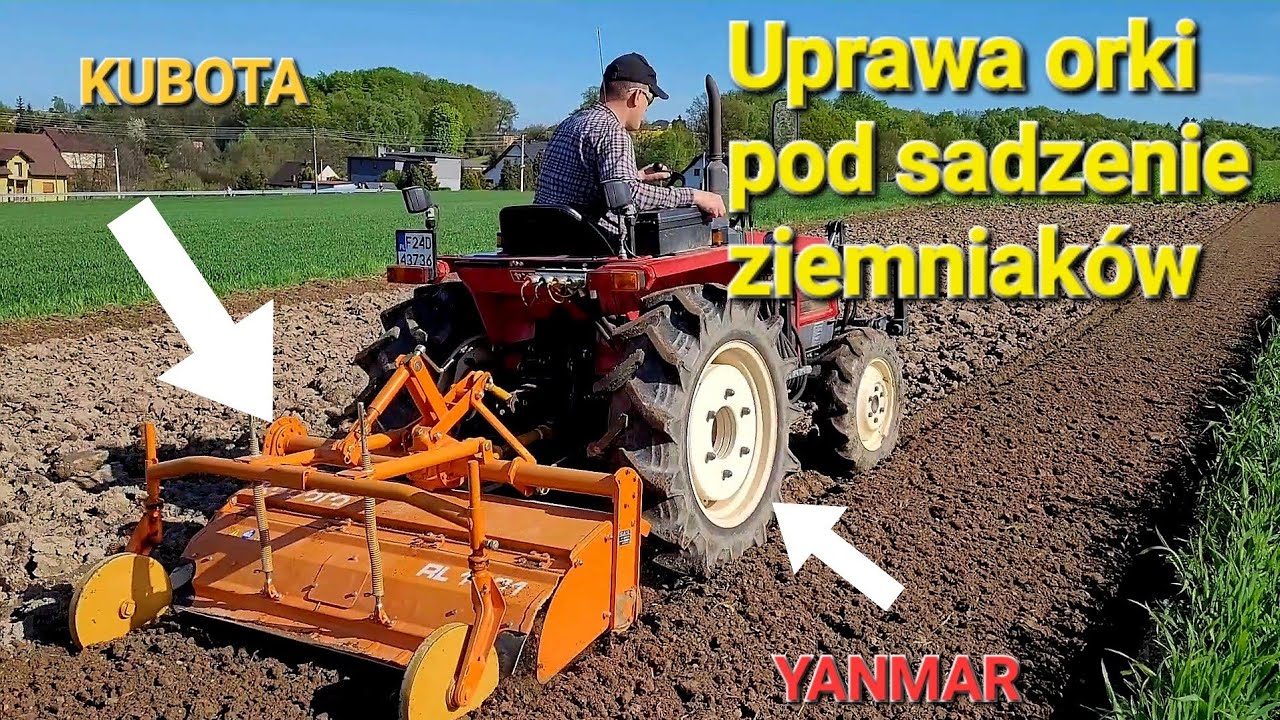 Jak uprawić ziemię pod sadzenie ziemniaków?