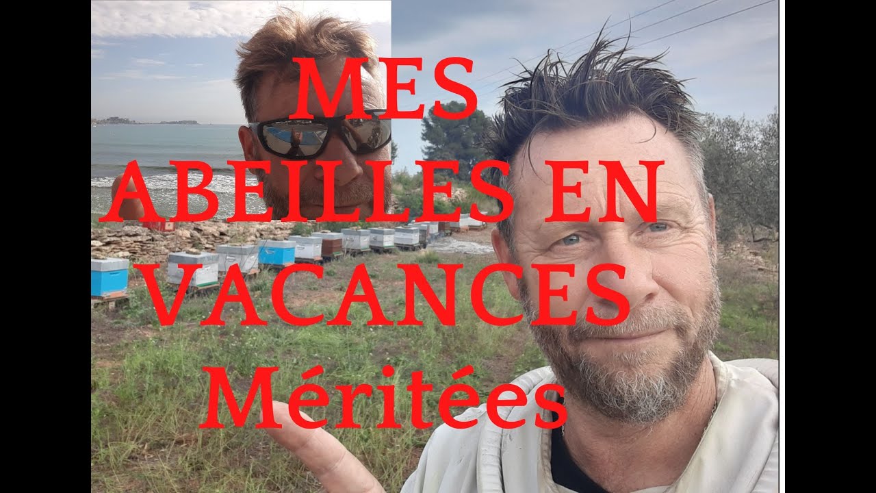 Saison 1 Ep42 2022. Transhumance de mes ruches sur la côte Méditerranée.