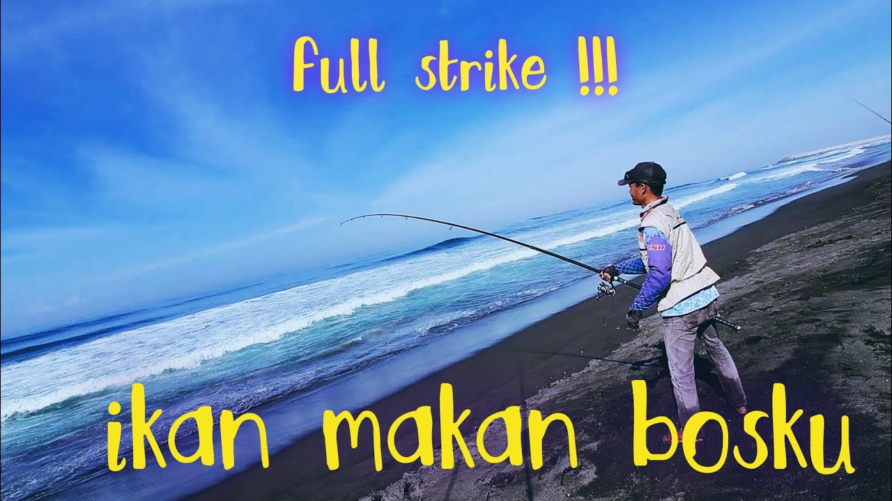 mancing pasiran #9 , mancing pasiran terbaru 2024, strike bertubi tubi #surffishing #surfcasting