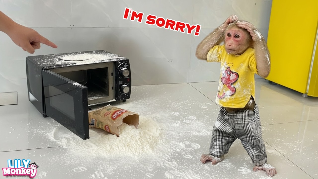 OMG! Monkey Lily learns to bake a cake from TV, and then… | Lily's story