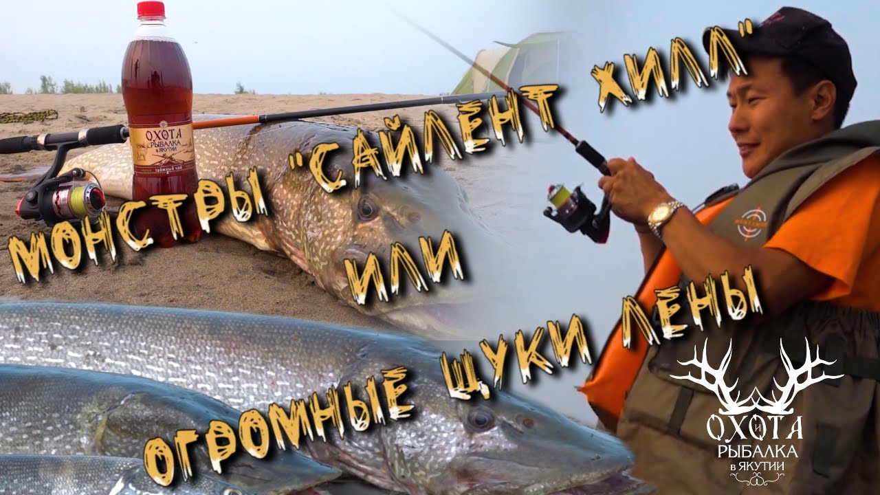 Монстры 