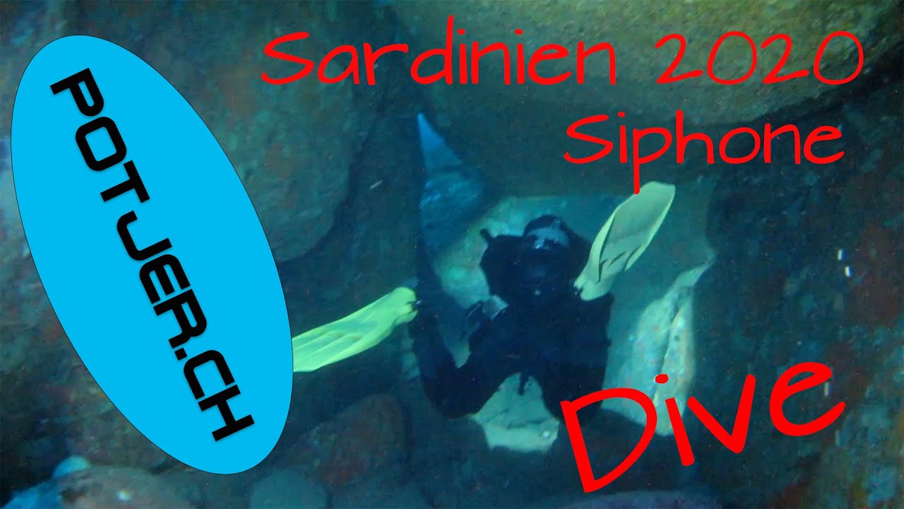 Tauchen mit vielen Barschen bei Siphone in Sardinien mit Blu Dive