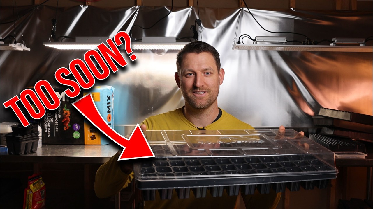 When to Remove Humidity Domes + Other Seed Starting Questions