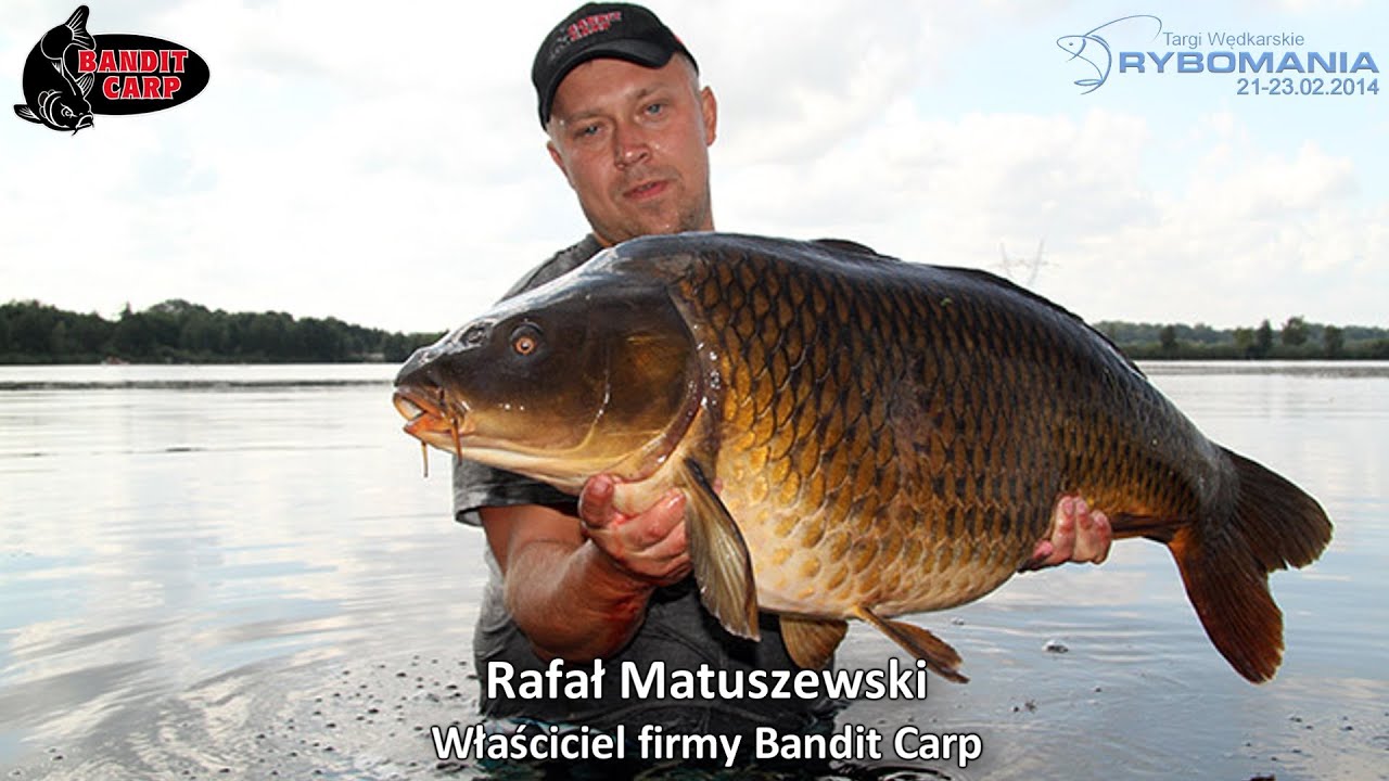 Bandit Carp - Rafał Matuszewski