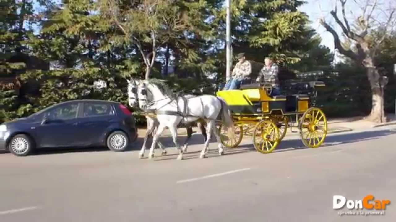 &iquest;Qu&eacute; es una Calesa?