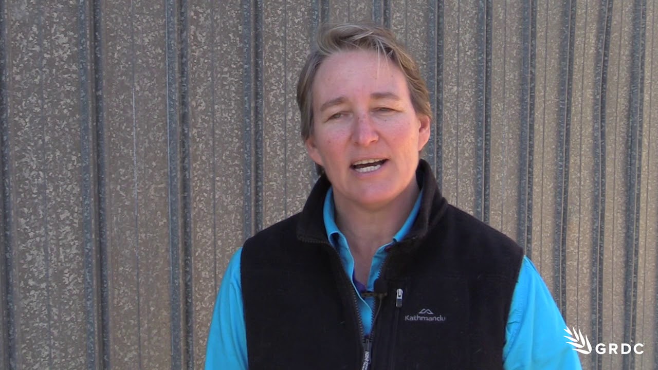 Managing Rutherglen bugs - Melina Miles | 2017 | GRDC Update Rowena | Northern region