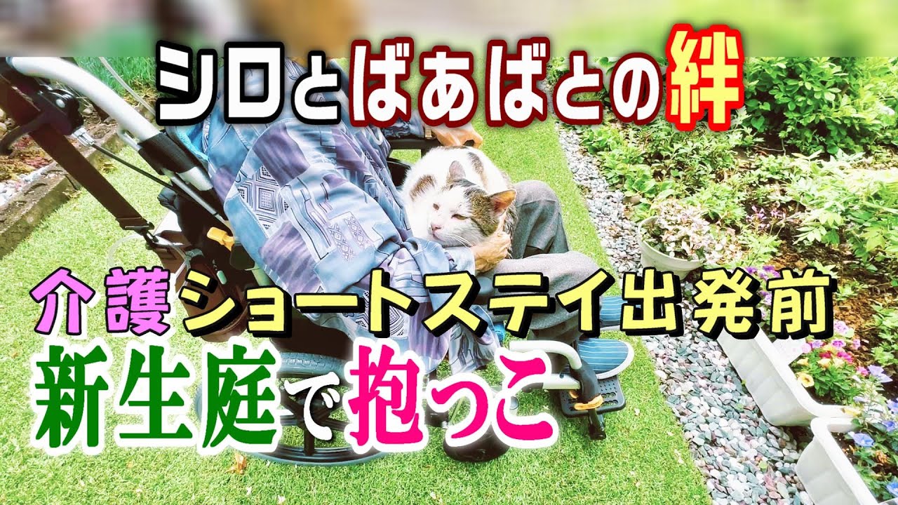 【介護ショートステイ出発】出発前のひととき：新生庭でシロの抱っこと母の感動の庭散歩【オリジナル曲】