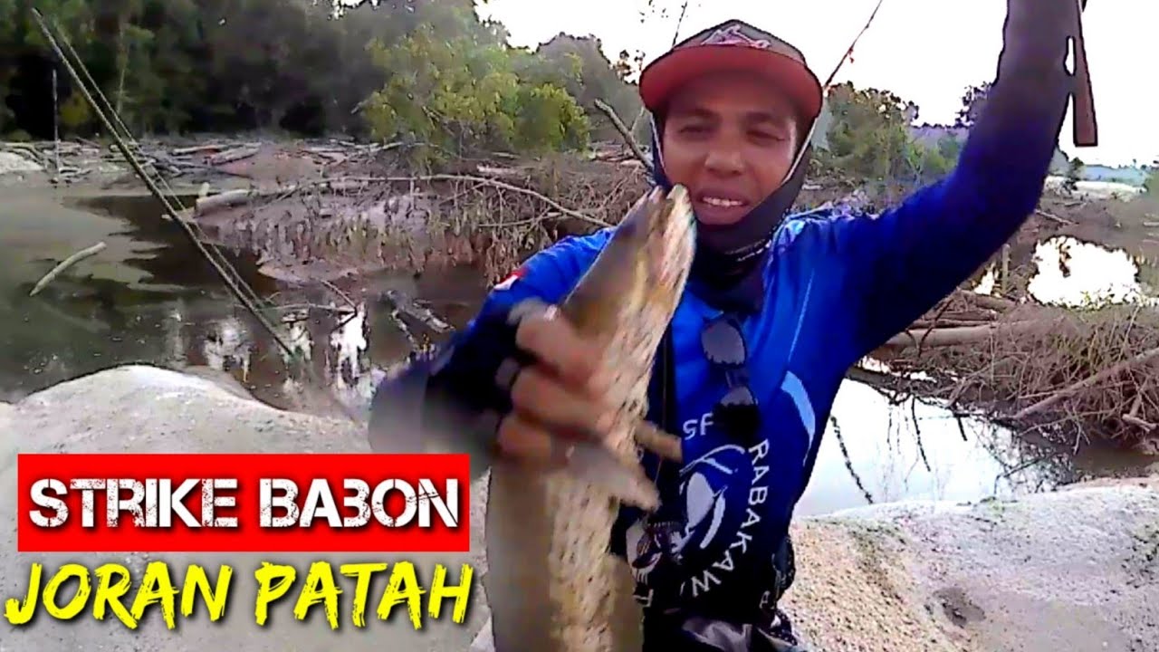 JORAN KESAYANGAN PATAH SETELAH STRIKE GABUS BESAR || PAKAI LURE DATU 3L