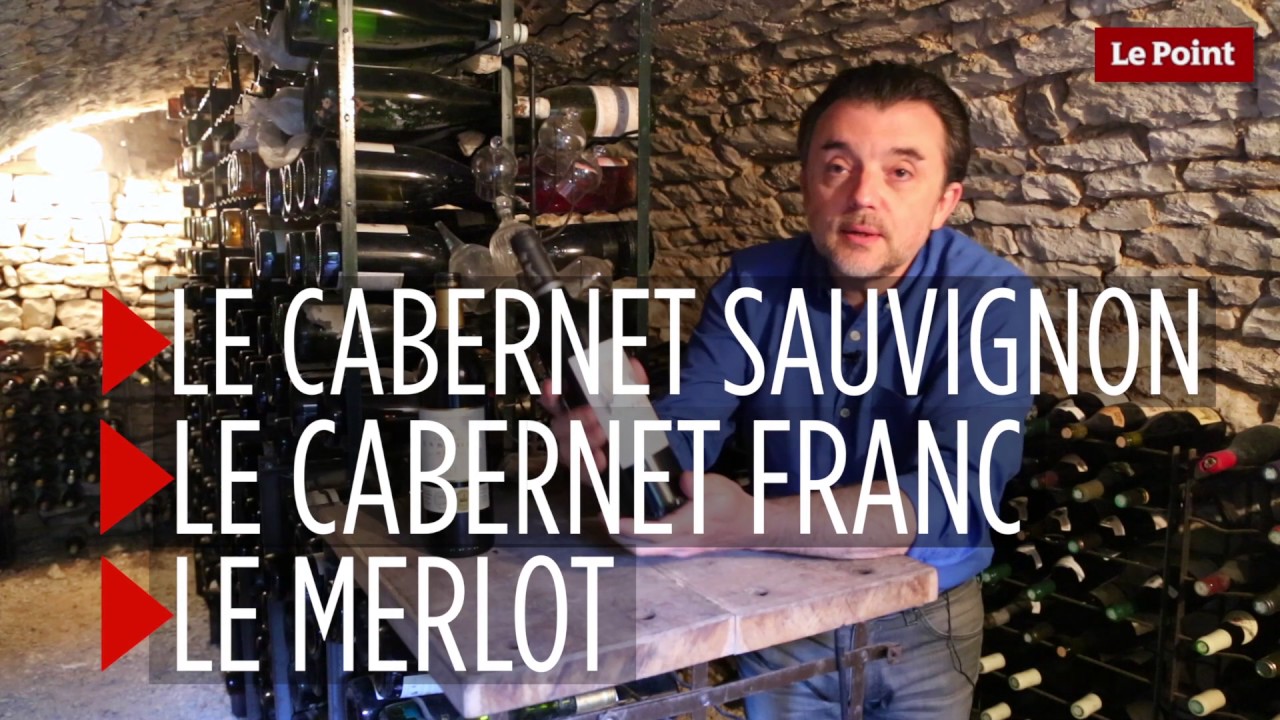 20 questions sur le vin : Qu’est-ce qu’un cépage ?