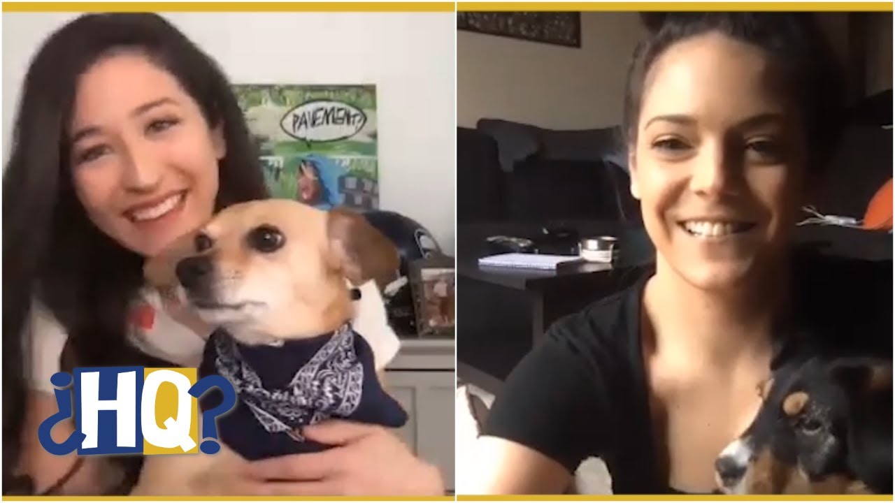 Mina Kimes’ dog battles Katie Nolan’s puppy in a trick challenge | Highly Questionable
