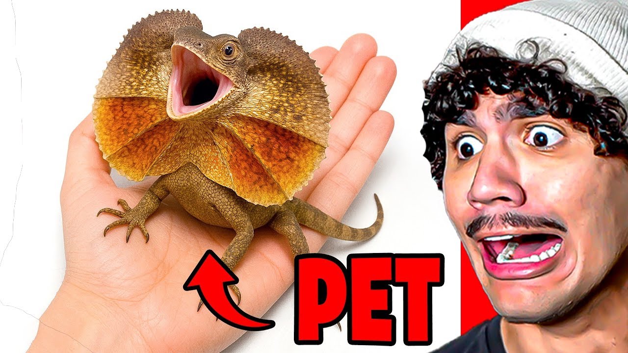 ELE ADOTOU UM DINOSSAURO DE ESTIMAÇÃO