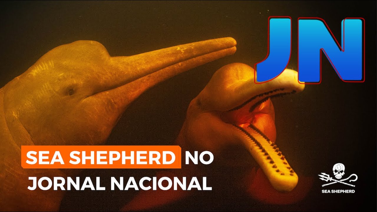 Expedição Boto da Amazônia da Sea Shepherd no Jornal Nacional