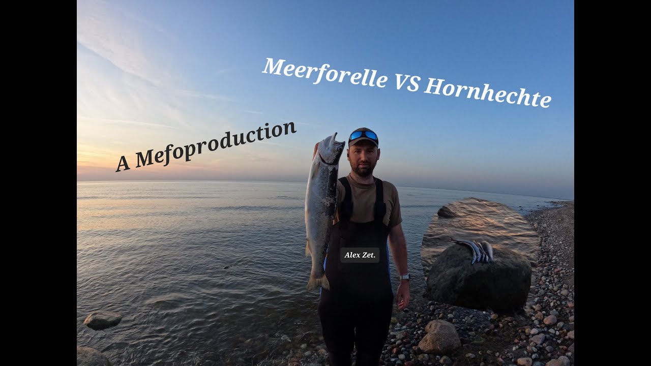 Meerforelle VS Hornhechte