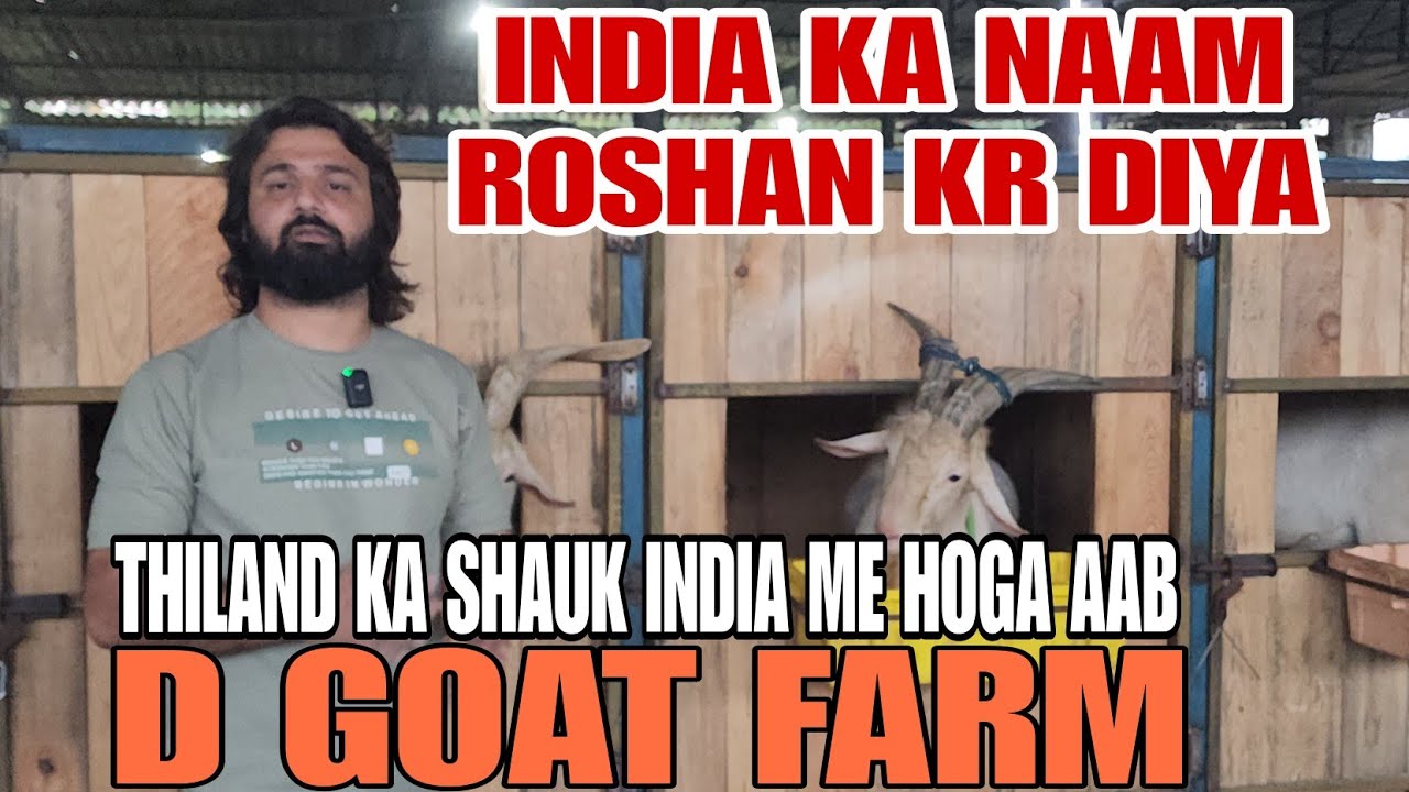 D Goat Farm India Me Karaenge Thiland Ka Shauk India Naam Roshan Karne Wala Kaam Kiya Hai.