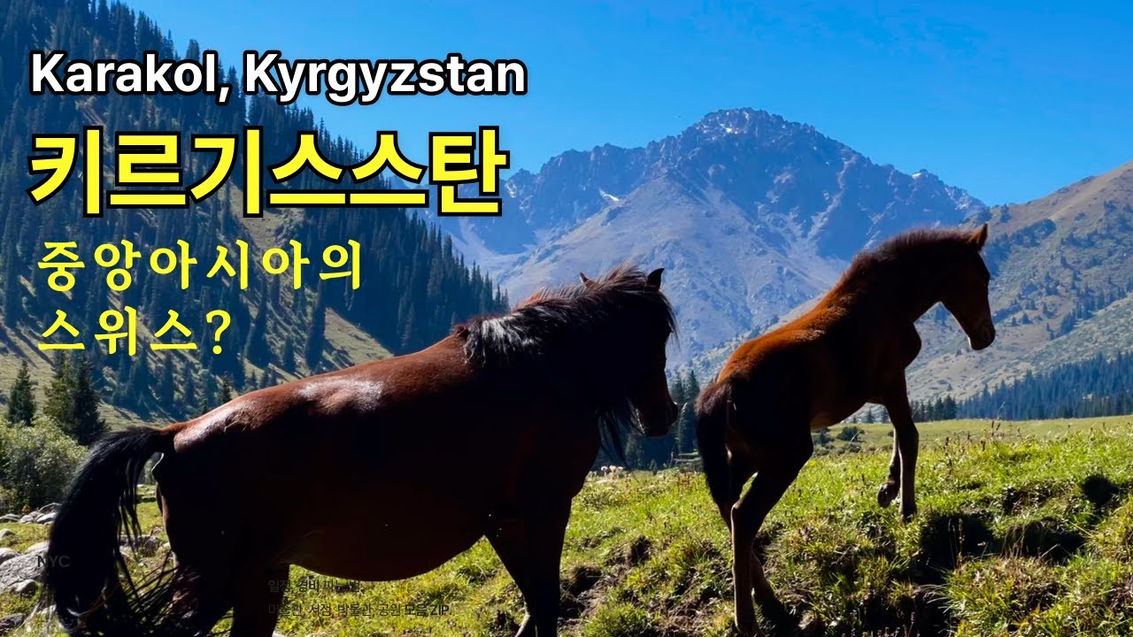 중앙아시아의 스위스? 키르키스스탄 여행의 허브 ‘카라콜‘ - 지르갈란 밸리 트레킹과 가축시장 Why You NEED to Visit Karakol, Kyrgyzstan