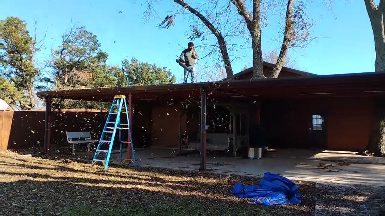 Working With My Father Leo Outside 10