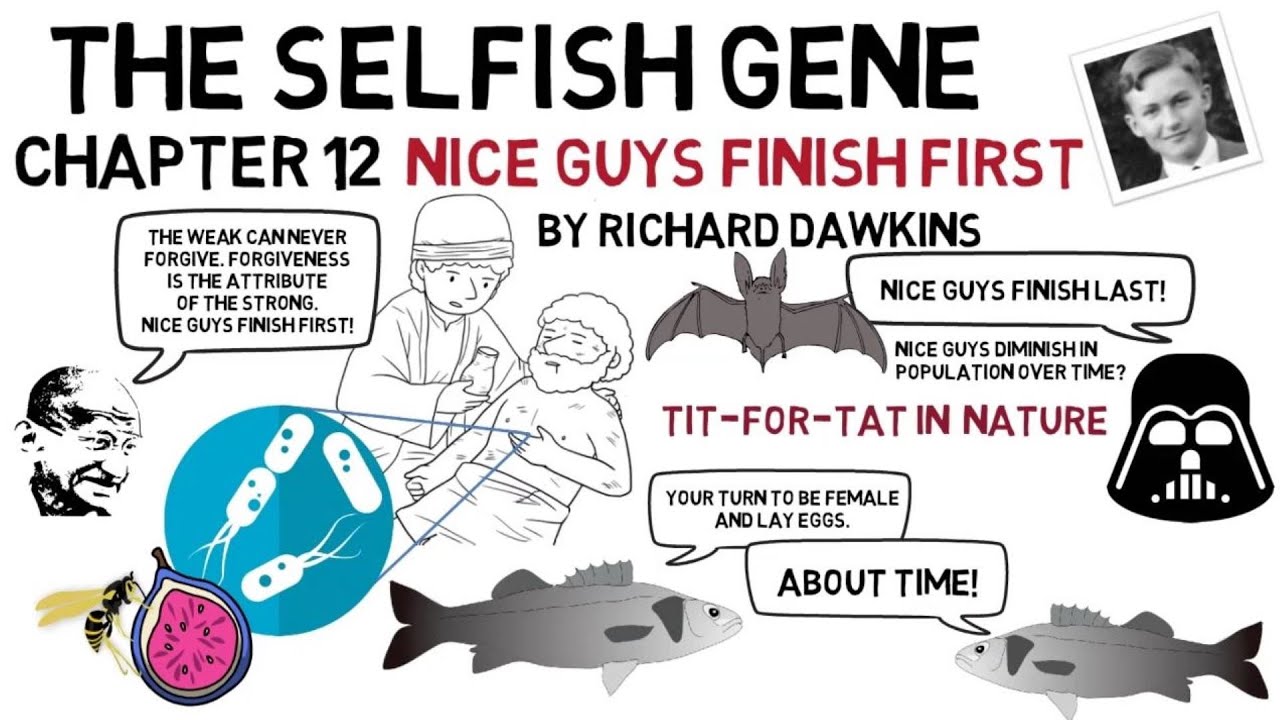 THE SELFISH GENE Chapter 12: Nice Guys Finish First (by Richard Dawkins)