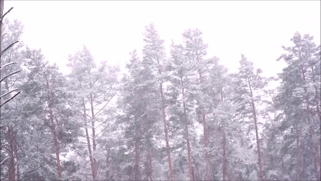 Schneefall - Entspannung - Natur