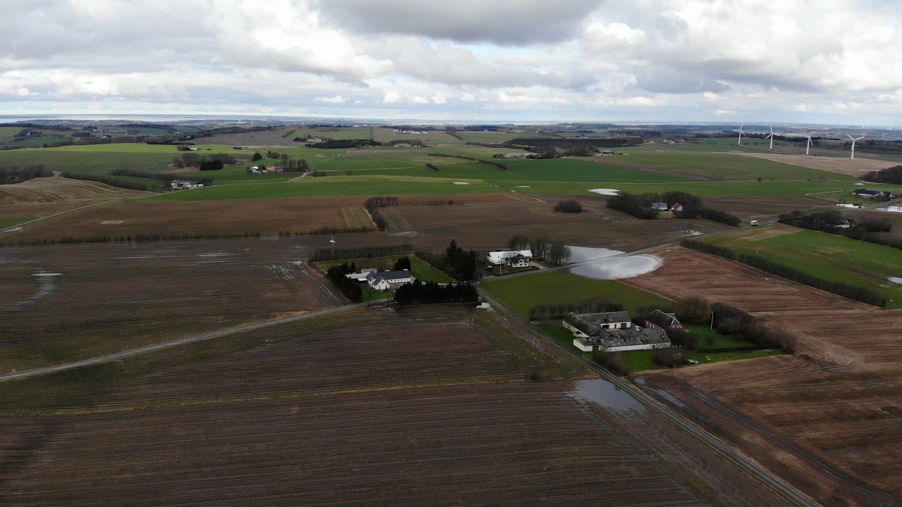 Byrsted Hede Marts 2020