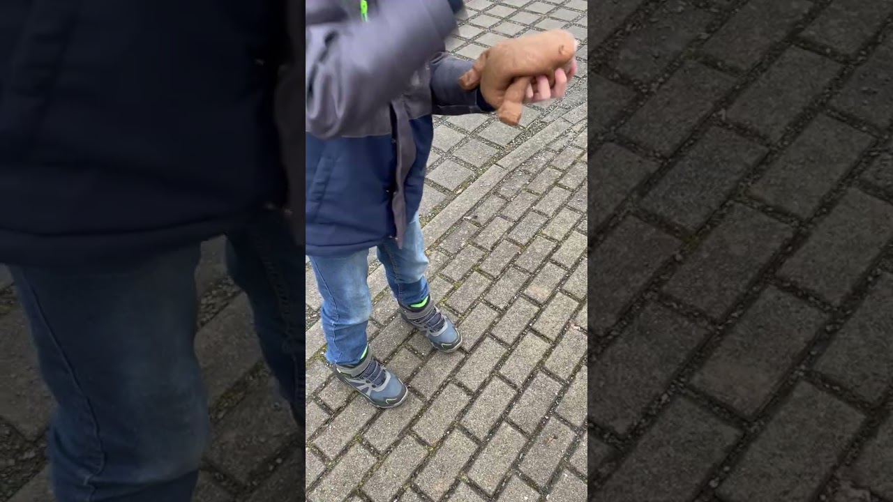 12. Februar 2026