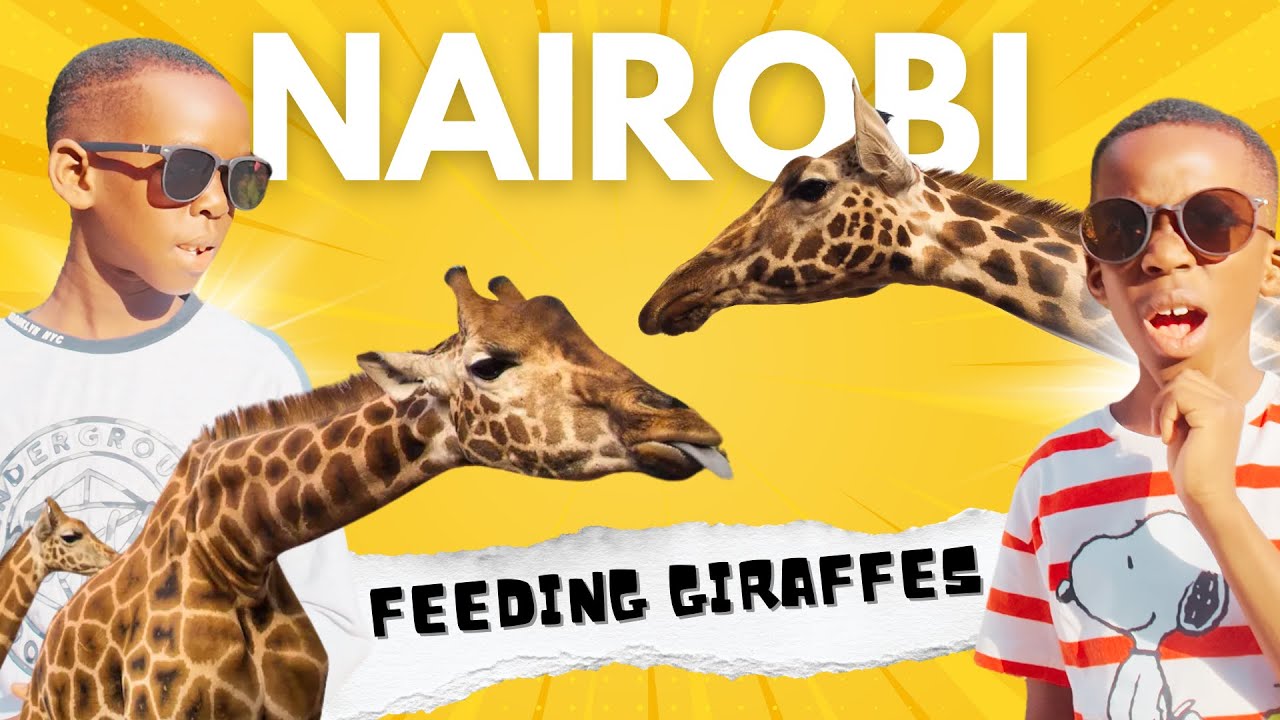 Kenya Giraffe Centre - Experience Feeding Giraffes With Your bare Hands