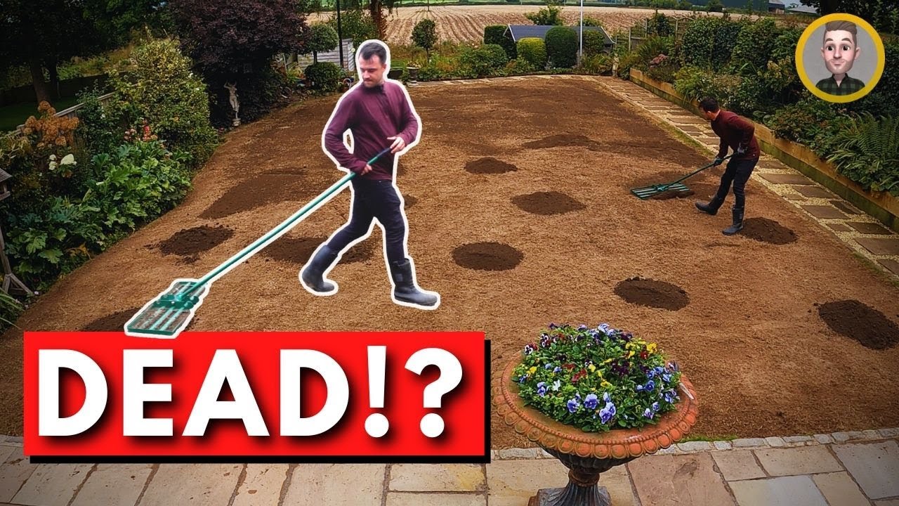 How to Renovate Your Ugly Lawn - Step by Step