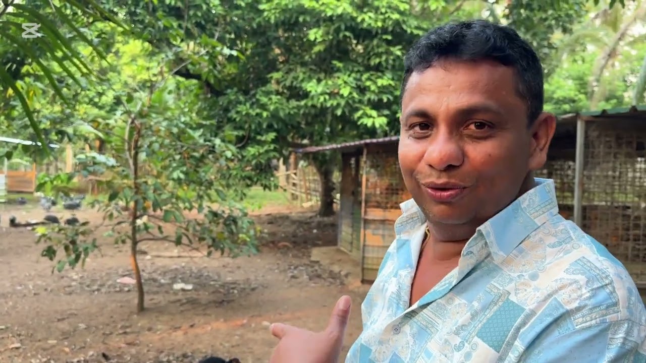 සොබාදහමේ ගොවිපළ ....❤️🦆🦆🐓🐓