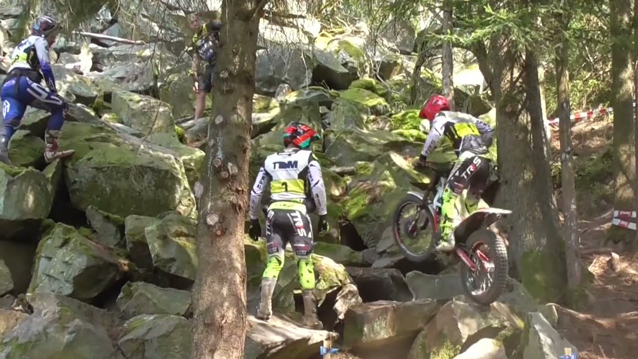 Trial DM 2024  Gefrees Sunday 01.09.24  Franzi Kadlec   ( All Sections )
