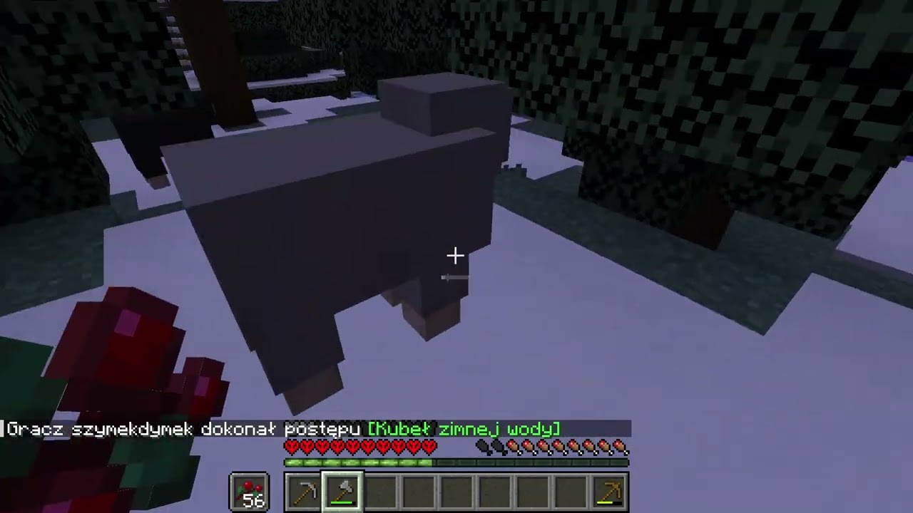 Minecraft Hardcore