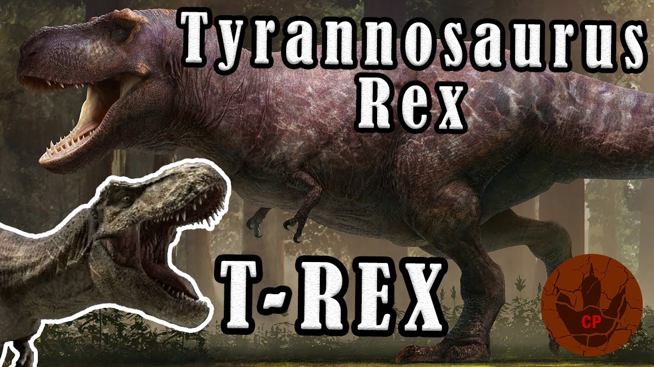 TYRANNOSAURUS REX El Rey De Los Lagartos Tiranos