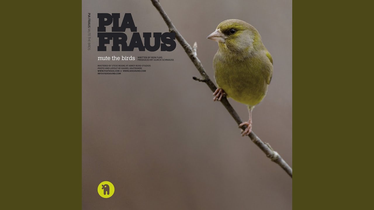 Mute the Birds (Ulrich Schnauss Version)