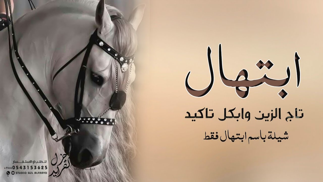 شيلة باسم ابتهال فقط 2024 ابتهال تاج الزين وابكل تاكيد حماسيه | شيله مدح باسم ابتهال