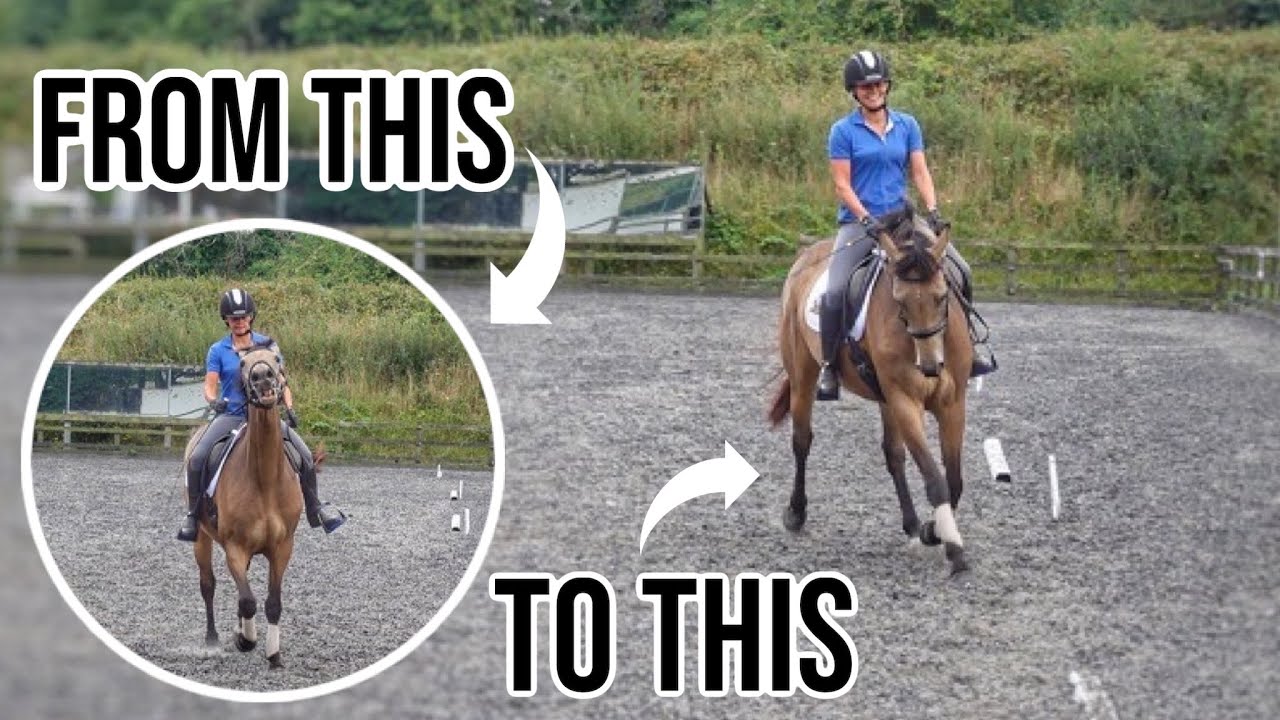 IMPROVING THE CONNECTION | Dressage Lesson