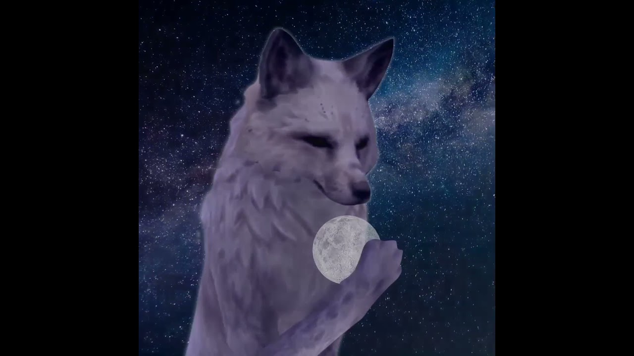 || wcmv - thelema øfdream ||