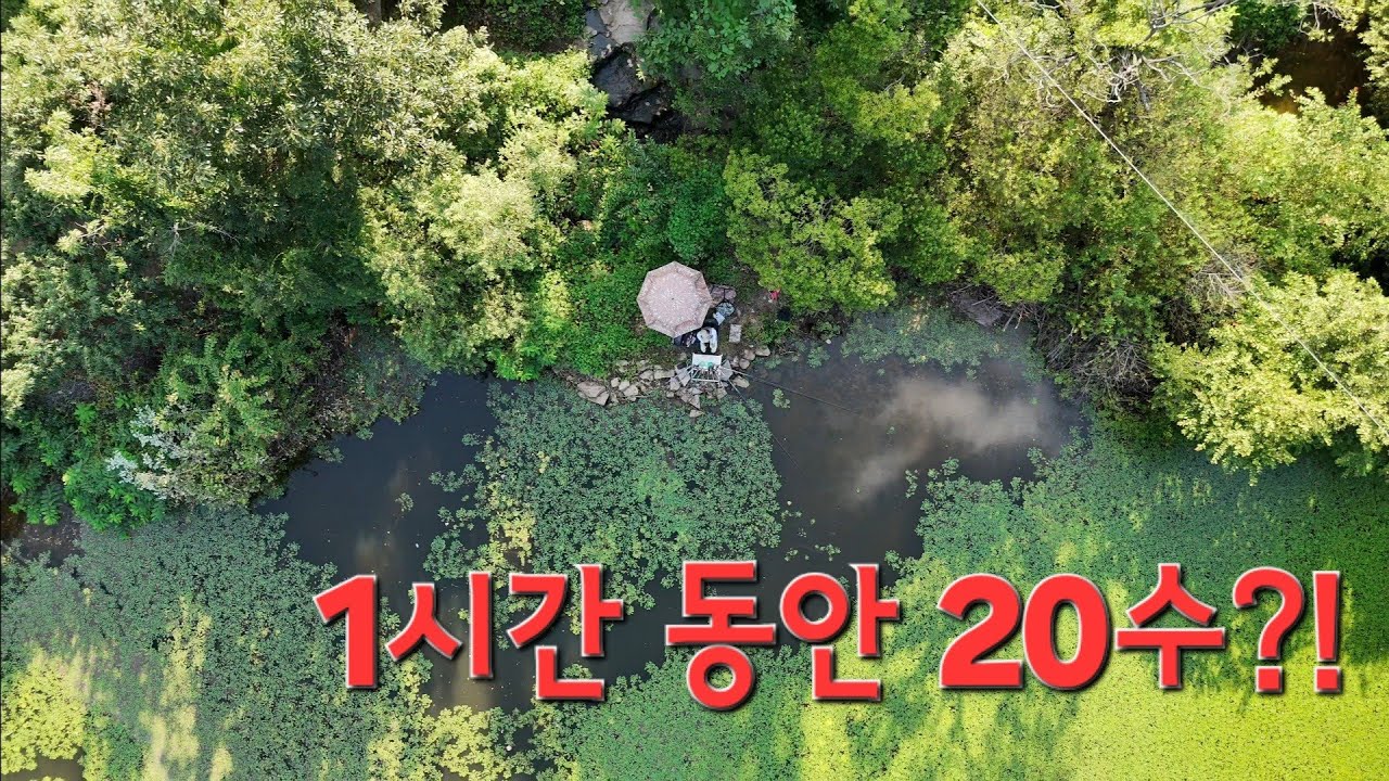 미첬습니다!! 양어장? NO 관리터? NO 하루에 붕어 100 마리도 잡을수 있는 산속 소류지!!