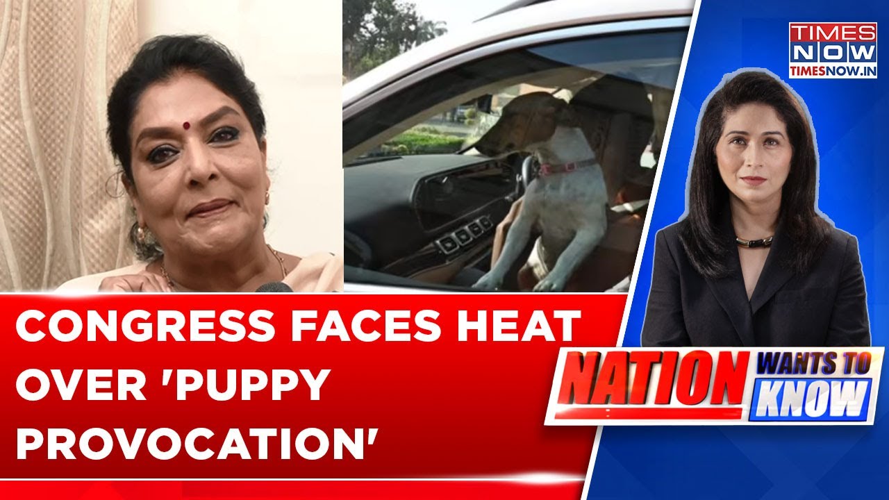 Disrespectful: BJP's Shazia Ilmi Slams Congress' Renuka Choudhury For Bringing Puppy To Parliament