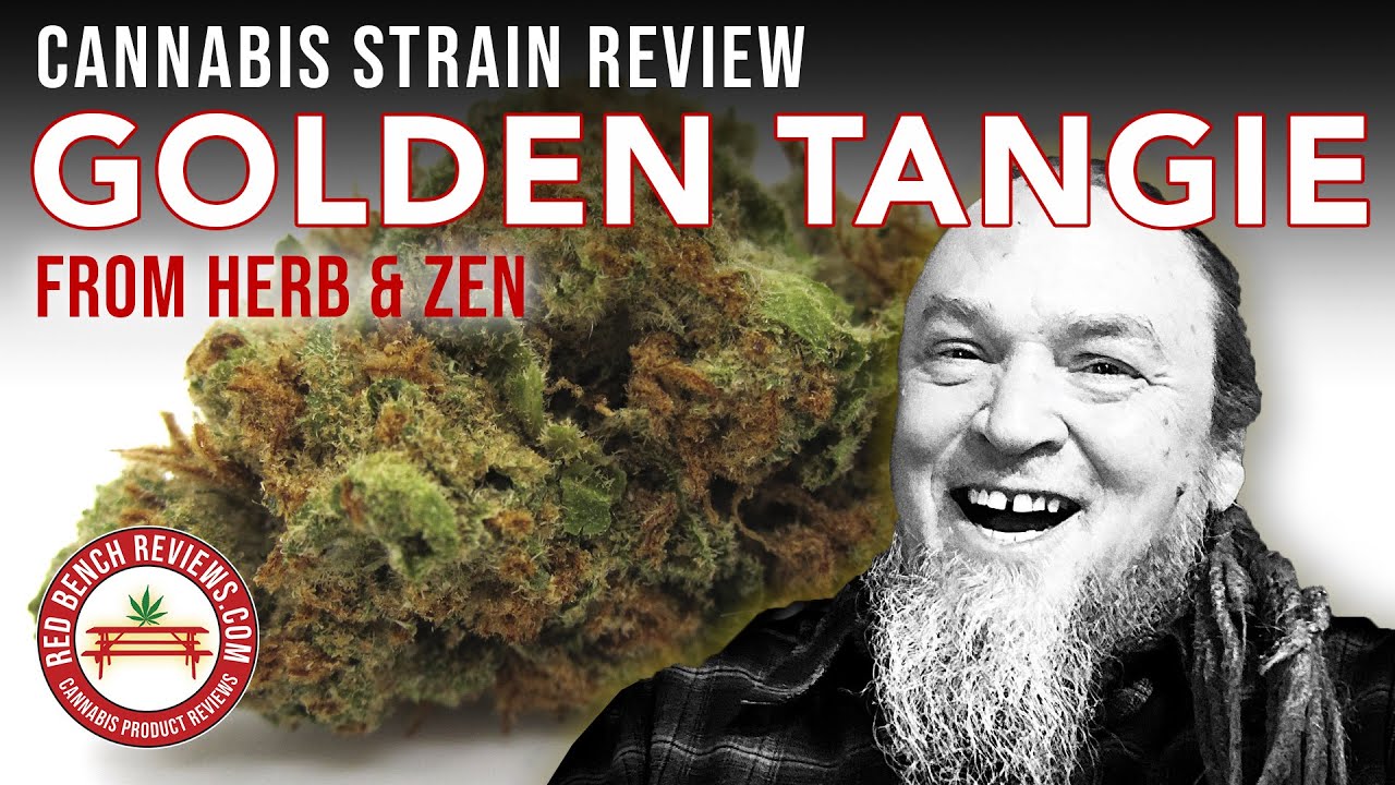 Herb & Zen | Golden Tangie Strain Review | 22.321% THC
