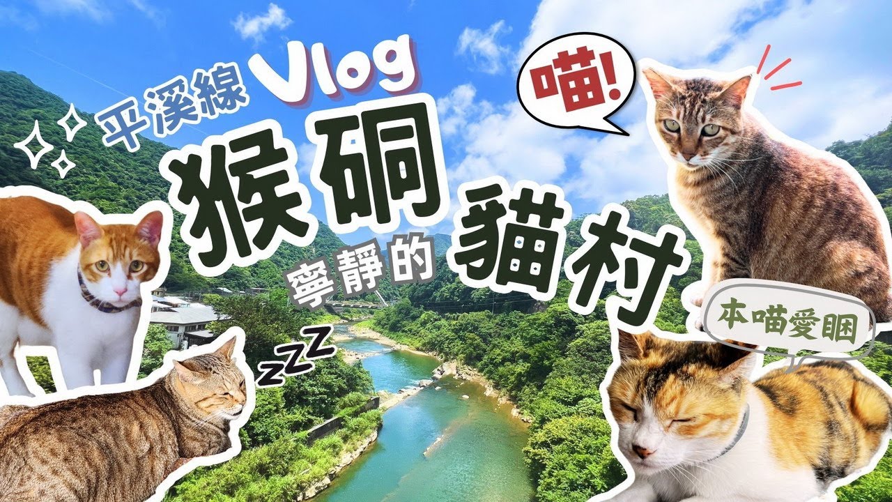 平溪線 ‧ 猴硐貓村Vlog｜探訪寧靜可愛的貓咪村落、擁有百年歷史的運煤橋、陶醉在猴硐山城美景中！平溪一日遊