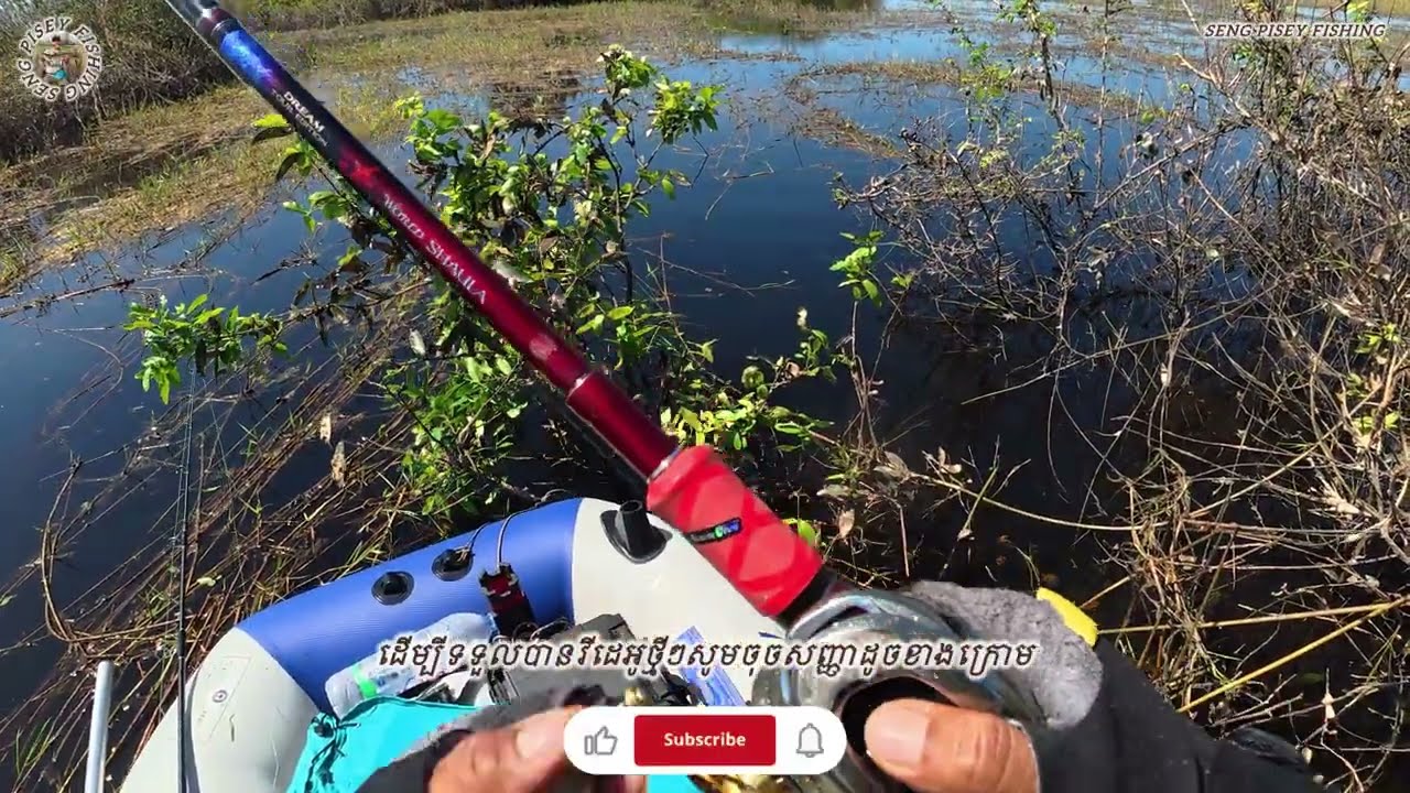 ខ្យល់ខ្លាំងបបក់ក្នុងព្រៃ