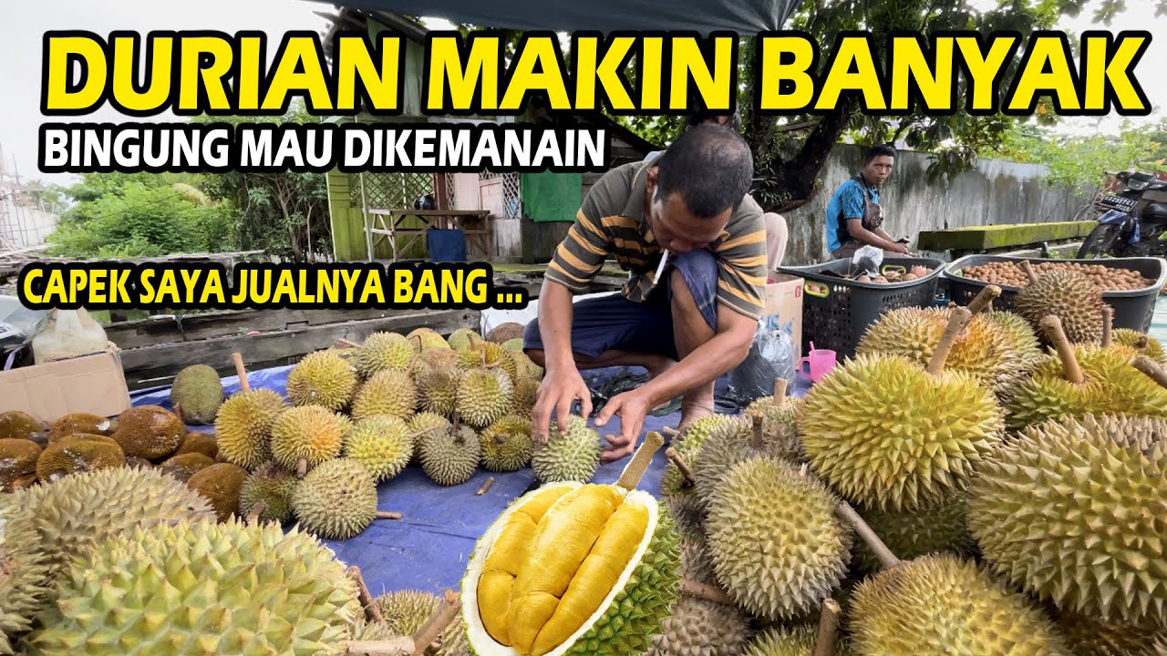 MAKIN MELIMPAH COBAIN DURIAN PALING ENAK DI KALIMANTAN ! RASA MUSANG KING KALAH ? | PART1
