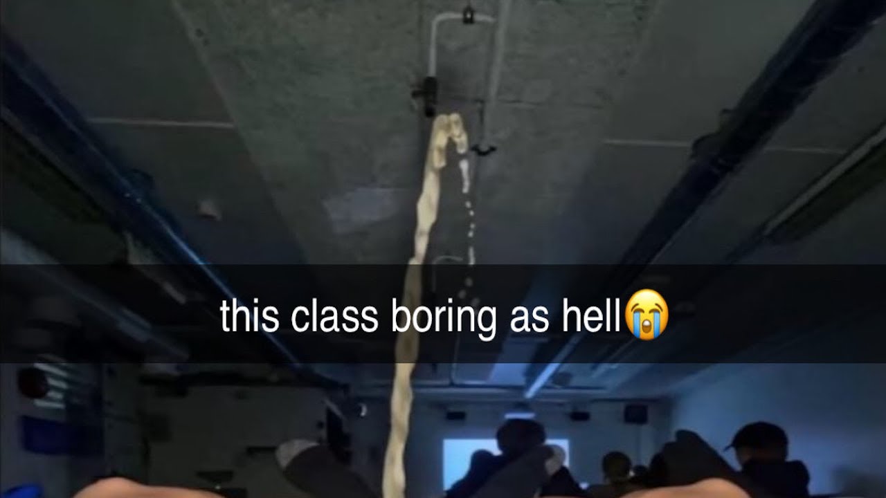 offensive memes but if ylyl
