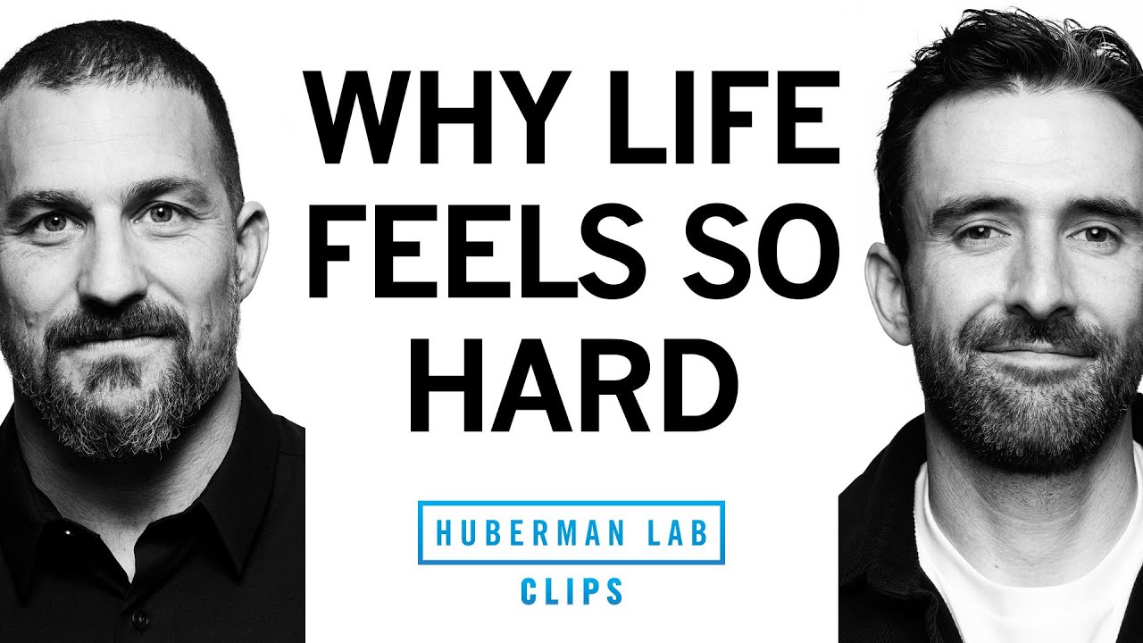 The Science of First World Problems | Michael Easter & Dr. Andrew Huberman