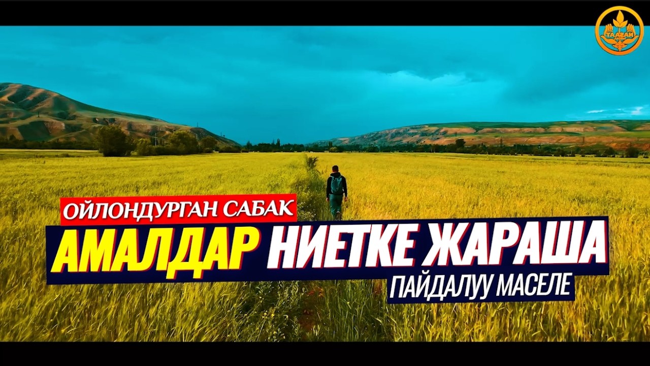 АМАЛДАР НИЕТКЕ ЖАРАША БОЛОТ. (ойлондурган сабак).   Шейх Чубак ажы
