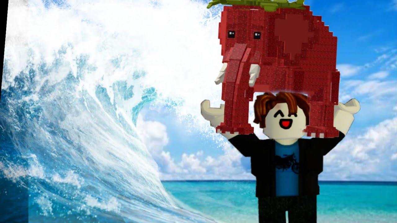 Tentei escapar do tsunami com um brairot na mão mais nao deu certo!!!!